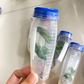 Syngonium Albo Podophyllum Variegated White Variegated Tissue Culture 1 PCS.