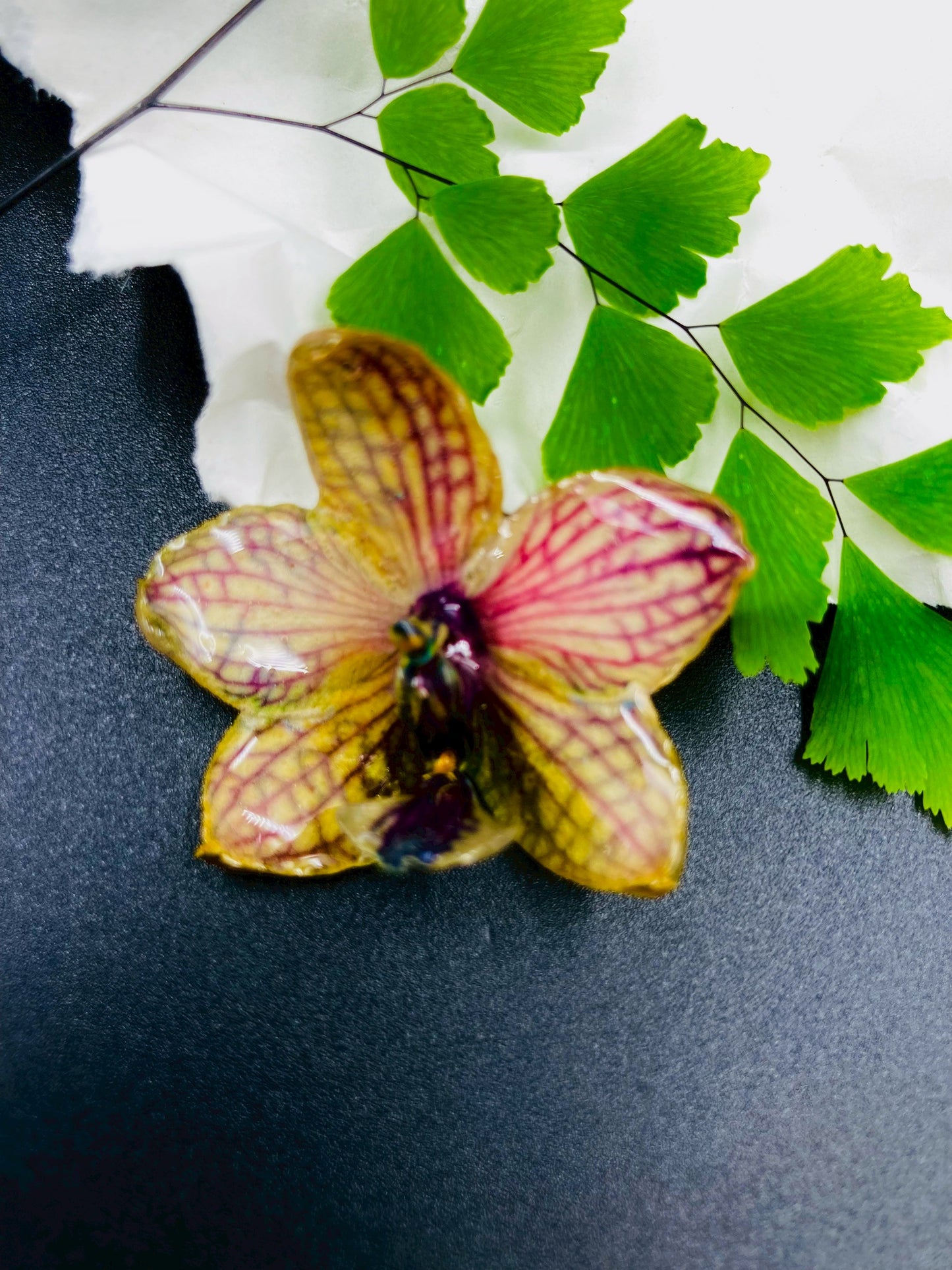 Real Orchid Flower Pendant, Preserved Resin Jewelry (Pin and Keychain Only)