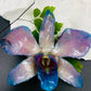 Real Orchid Flower Pendant, Preserved Resin Jewelry (Pin and Keychain Only)