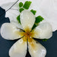 Real Orchid Flower Pendant, Preserved Resin Jewelry (Pin and Keychain Only)