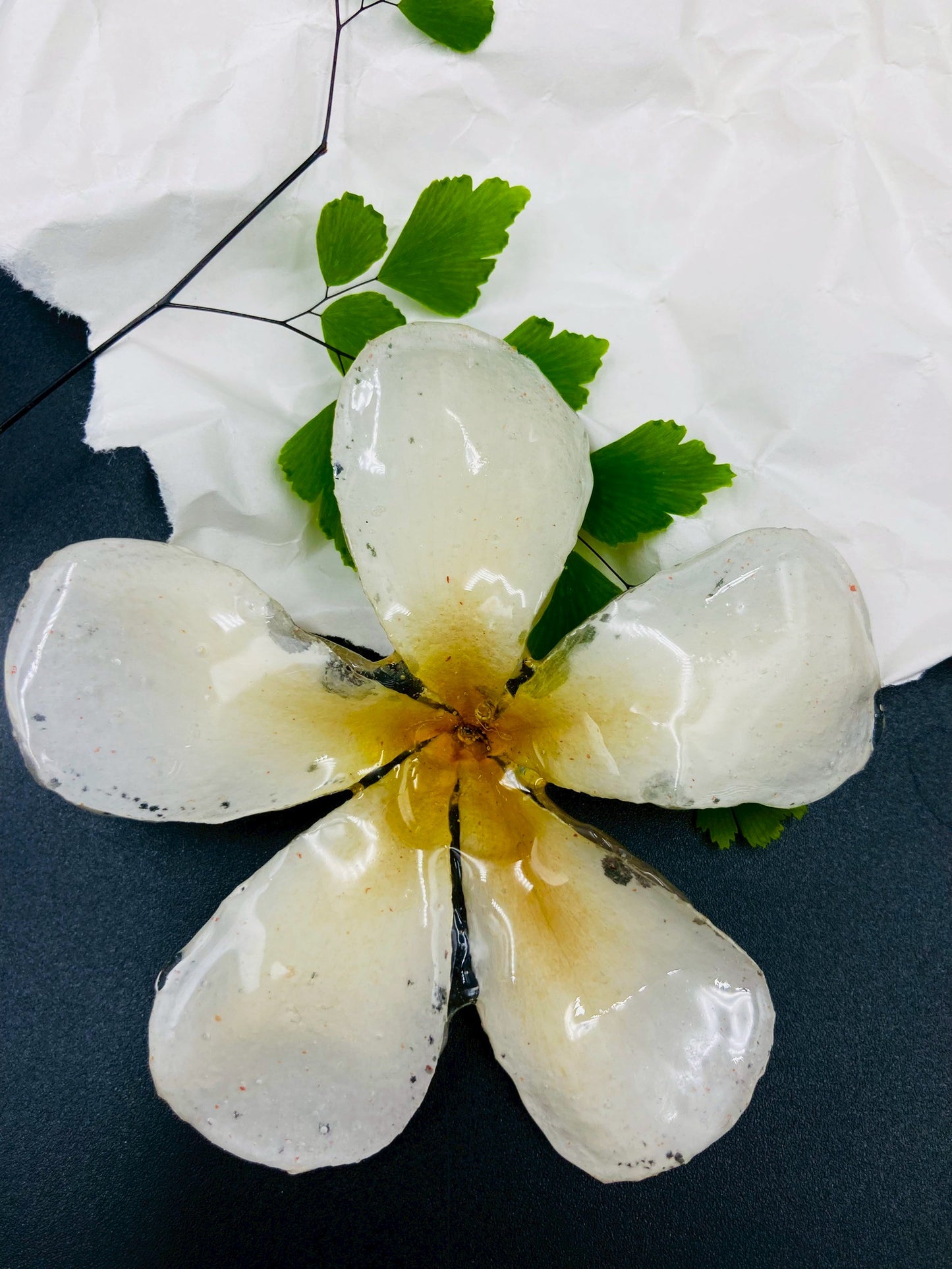 Real Orchid Flower Pendant, Preserved Resin Jewelry (Pin and Keychain Only)