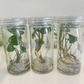 Syngonium Podophyllum Tissue Culture Plant 1 PCS.