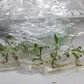 Philodendron Bernardopazii Tissue Culture Plants 3 PCS