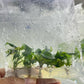 Philodendron Mcdowell Tissue Culture Plants 10 PCS.