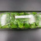 [SALE !!!] Bottle 40 plants Tissue Culture [Aglaonema Alocasia Anthurium Monstera Musa Philodendron]