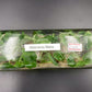 [SALE !!!] Bottle 40 plants Tissue Culture [Aglaonema Alocasia Anthurium Monstera Musa Philodendron]
