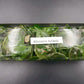 [SALE !!!] Bottle 40 plants Tissue Culture [Aglaonema Alocasia Anthurium Monstera Musa Philodendron]
