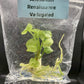 Anthurium Renaissance Low Variegated Tissue Culture Plants Bag 1 Plant (Random)