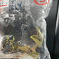 Jewel Orchid Anoectochilus Roxburghii Firebird Tissue Culture Plants 1 PC