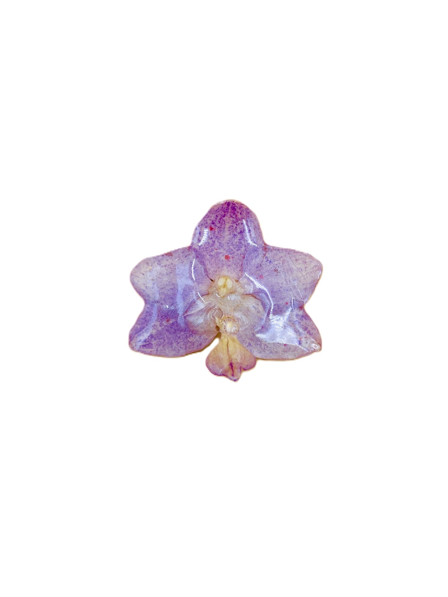 Real Orchid Flower Pendant, Preserved Resin Jewelry (Pin and Keychain Only)