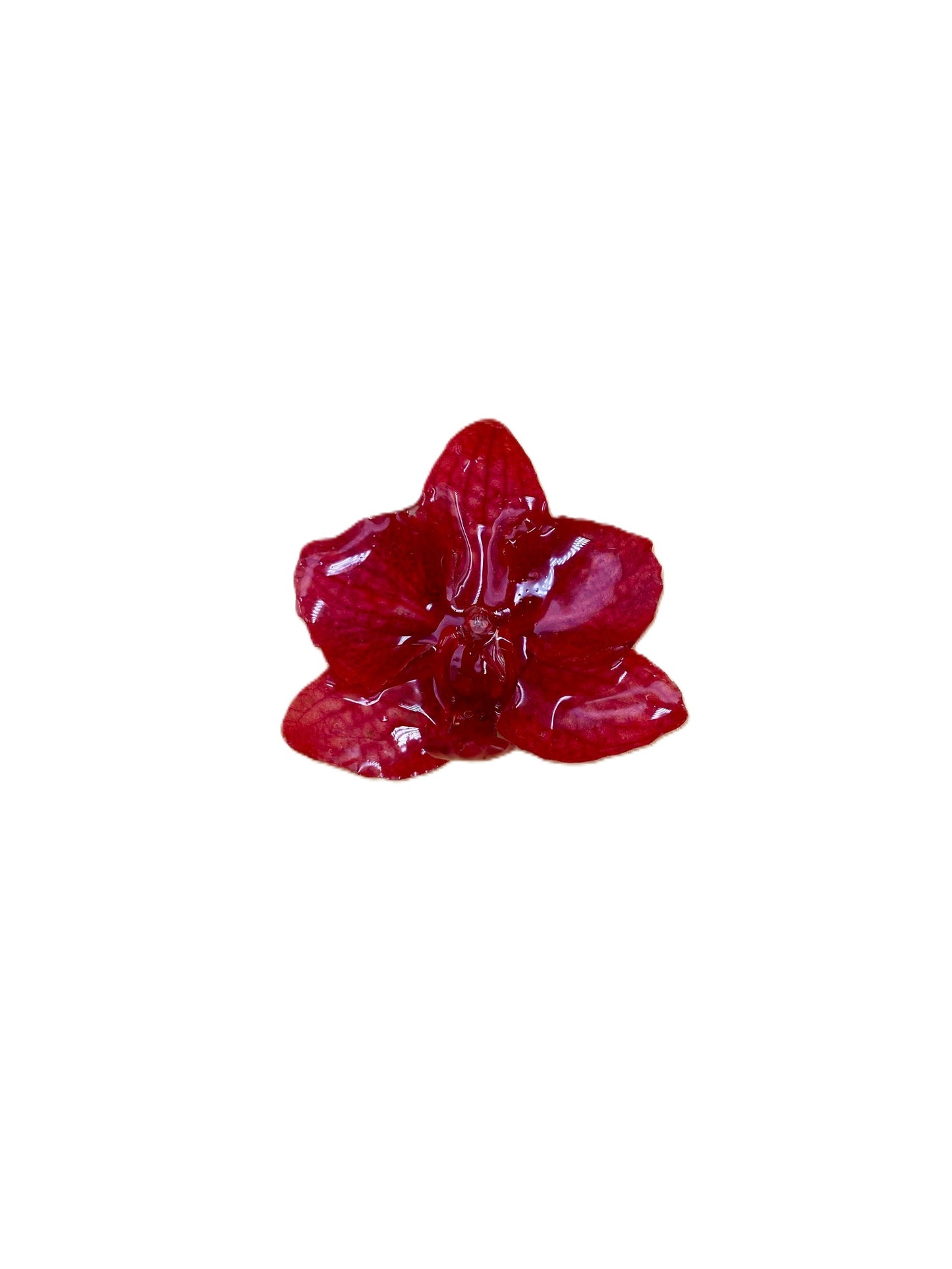 Real Orchid Flower Pendant, Preserved Resin Jewelry (Pin and Keychain Only)
