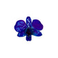 Real Orchid Flower Pendant, Preserved Resin Jewelry (Pin and Keychain Only)