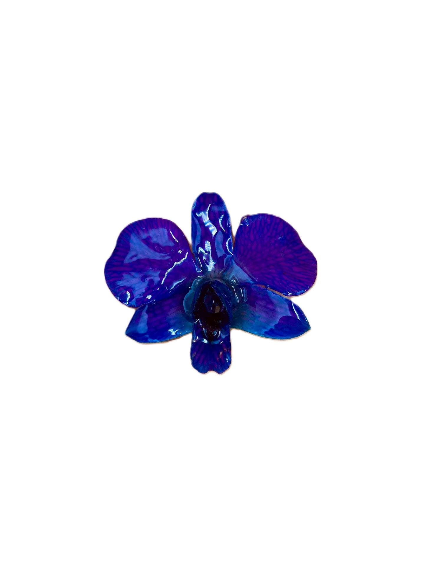 Real Orchid Flower Pendant, Preserved Resin Jewelry (Pin and Keychain Only)