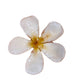 Real Orchid Flower Pendant, Preserved Resin Jewelry (Pin and Keychain Only)