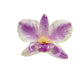 Real Orchid Flower Pendant, Preserved Resin Jewelry (Pin and Keychain Only)