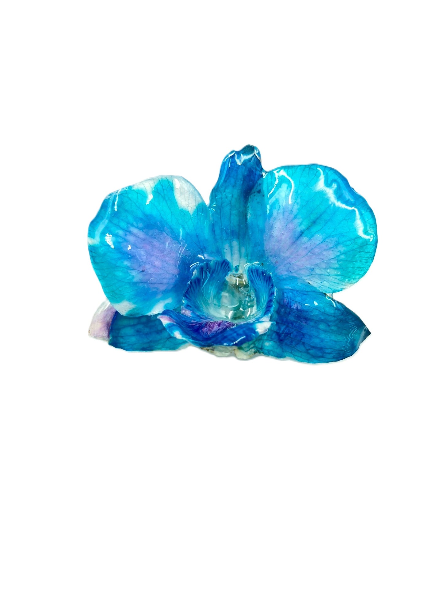 Real Orchid Flower Pendant, Preserved Resin Jewelry (Pin and Keychain Only)
