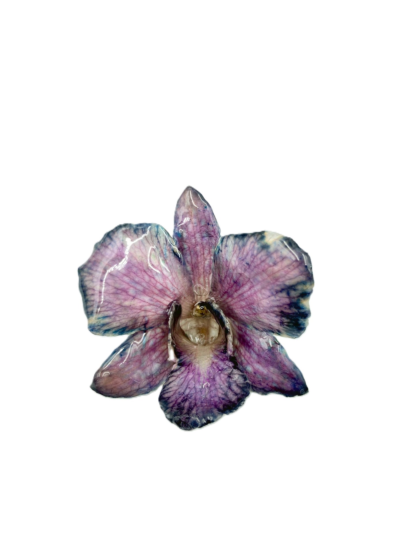 Real Orchid Flower Pendant, Preserved Resin Jewelry (Pin and Keychain Only)