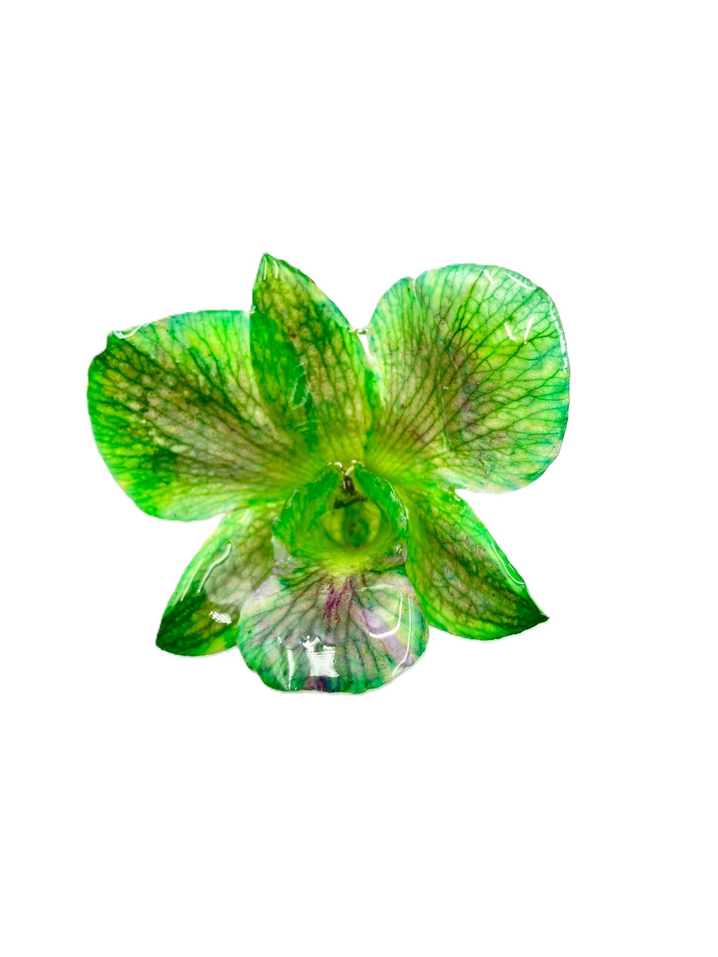 Real Orchid Flower Pendant, Preserved Resin Jewelry (Pin and Keychain Only)