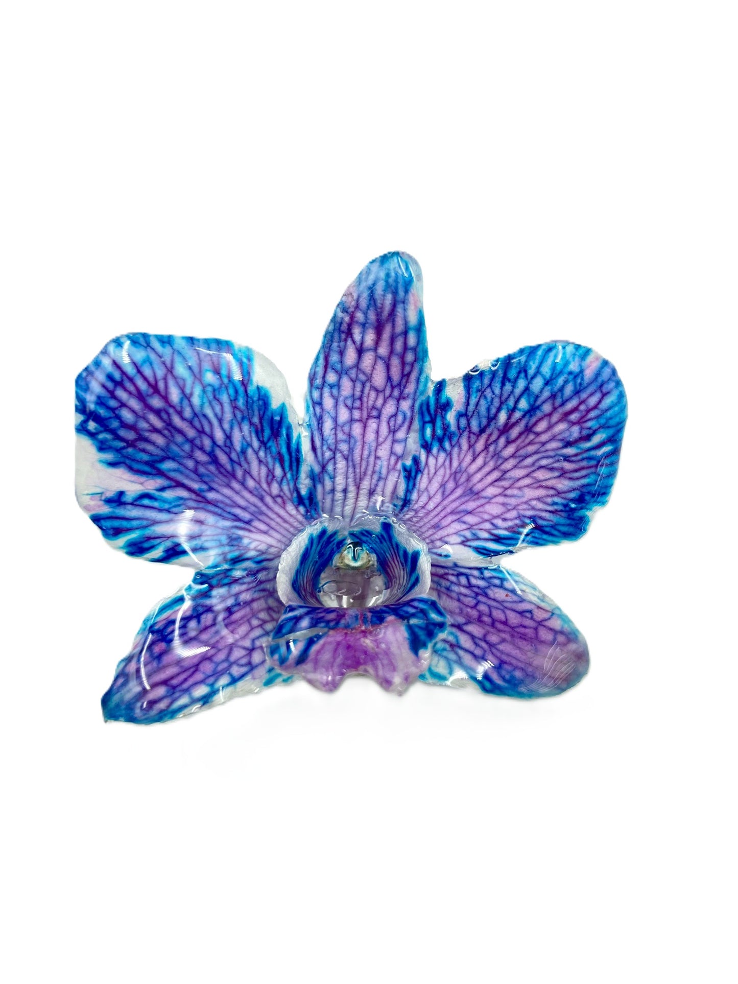 Real Orchid Flower Pendant, Preserved Resin Jewelry (Pin and Keychain Only)
