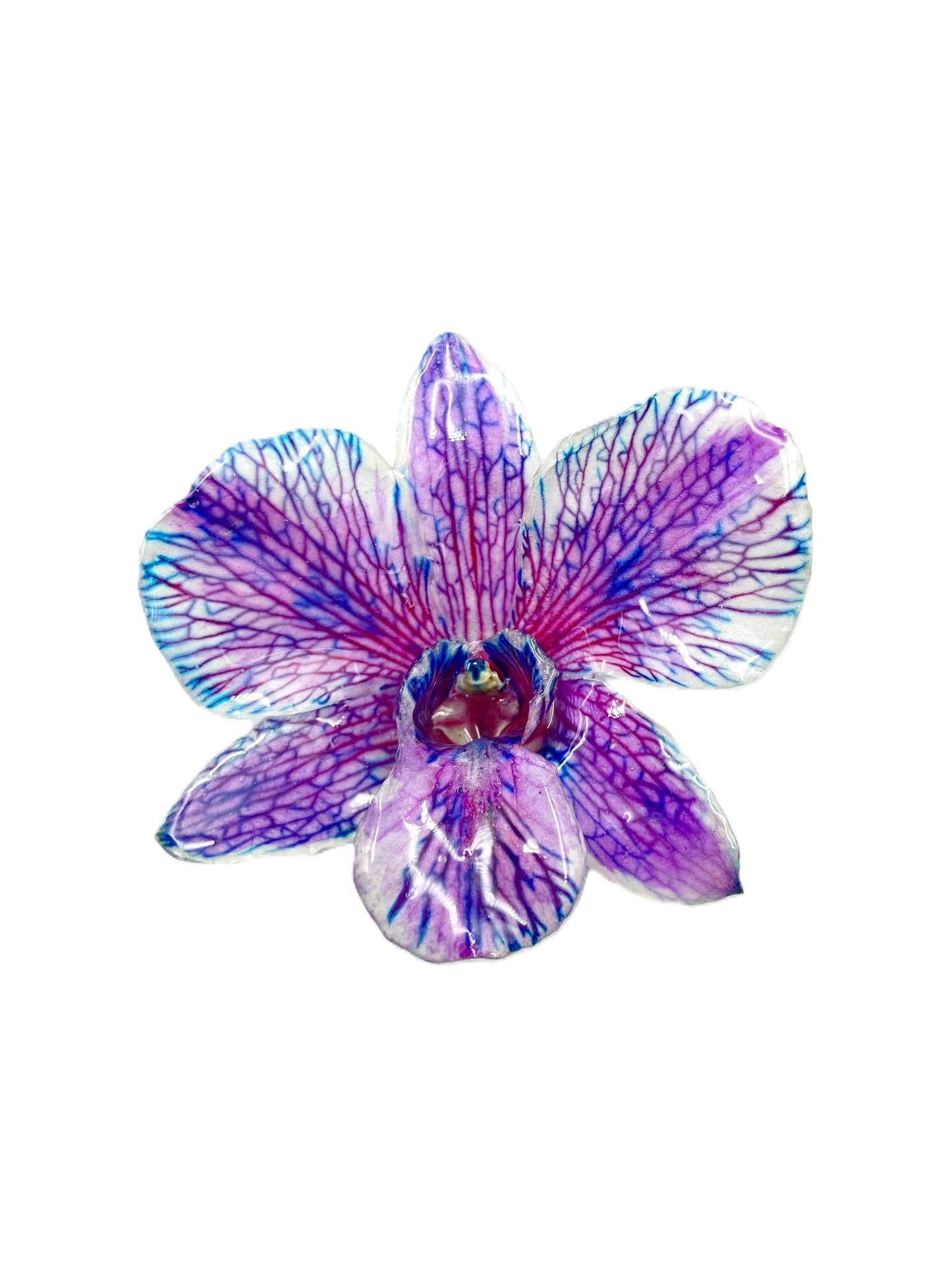 Real Orchid Flower Pendant, Preserved Resin Jewelry (Pin and Keychain Only)