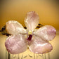Bracelet made from real orchids, dark brown string