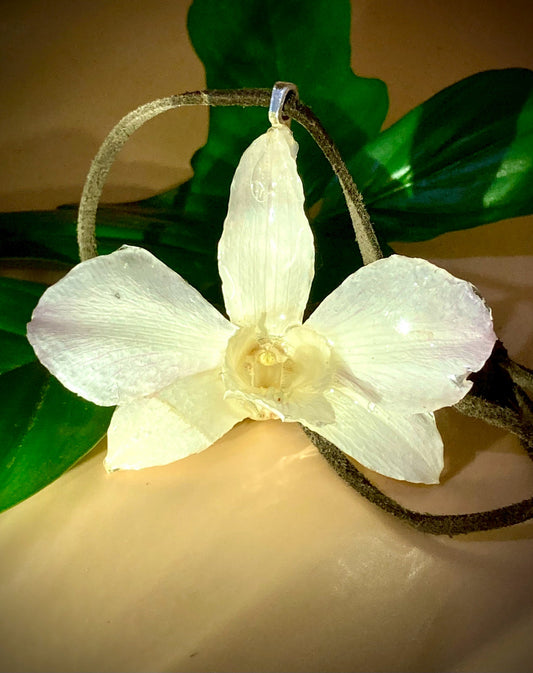 Pendant + Necklace Made From real Orchid Flowers