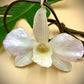 Pendant + Necklace Made From real Orchid Flowers