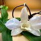 Pendant + Necklace Made From real Orchid Flowers