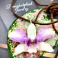 Pendant + rope necklace made from real orchids, white-purple tone