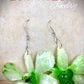 Earrings made from real flowers in green tones