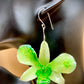 Earrings made from real flowers in green tones
