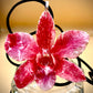 Pendant + rope necklace made from real flowers, red tone
