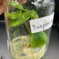 Alocasia Scalprum Aurea Tissue Culture Plants 1 PCS.