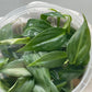 Philodendron Gloriosum Tissue Culture Plants 10 PCS.