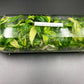 [SALE !!!] Bottle 40 plants Tissue Culture [Aglaonema Alocasia Anthurium Monstera Musa Philodendron]