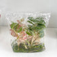 Aglaonema rainbow (Kamlaithong) Tissue Culture Plants 10 PCS.