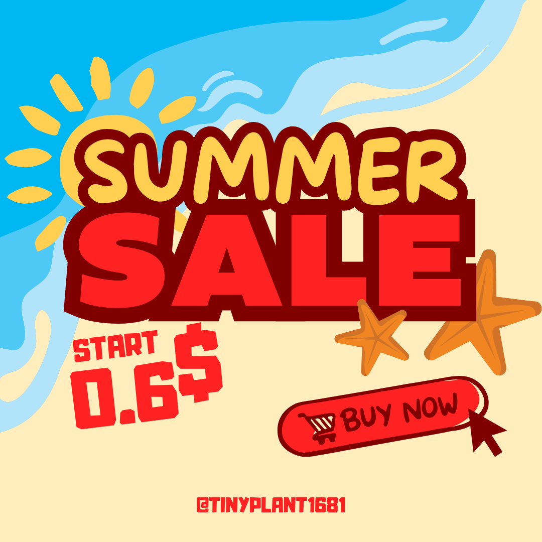 [Summer SALE !!!] Philodendron El Choco Red TC $5 / 10 p.